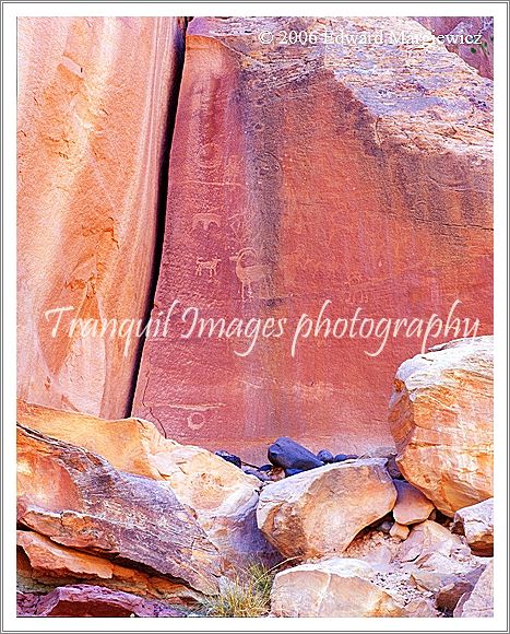 450457   Petroglyphs in Capital Reef 